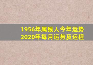 1956年属猴人今年运势2020年每月运势及运程