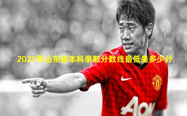 2021年山东省本科录取分数线最低是多少分
