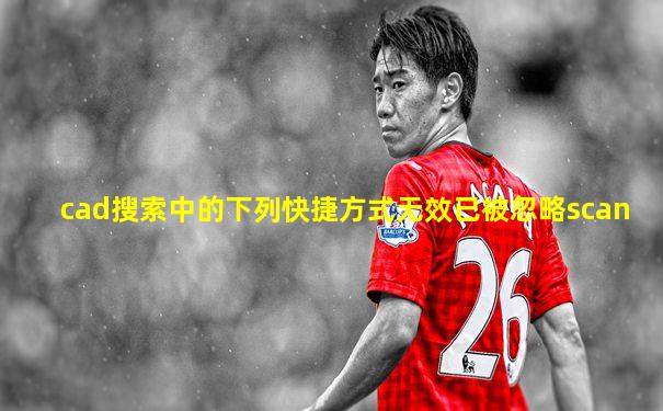 cad搜索中的下列快捷方式无效已被忽略scan