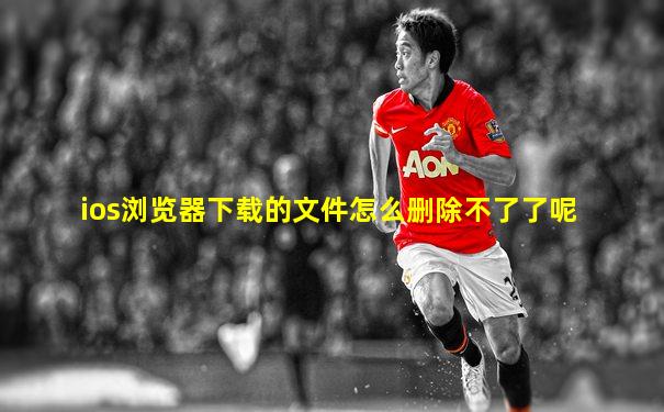 ios浏览器下载的文件怎么删除不了了呢