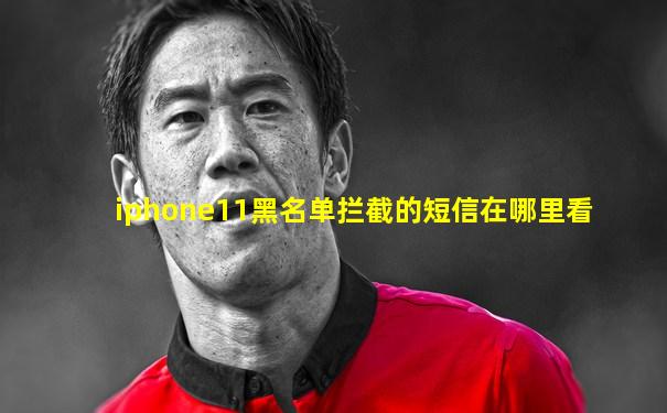 iphone11黑名单拦截的短信在哪里看
