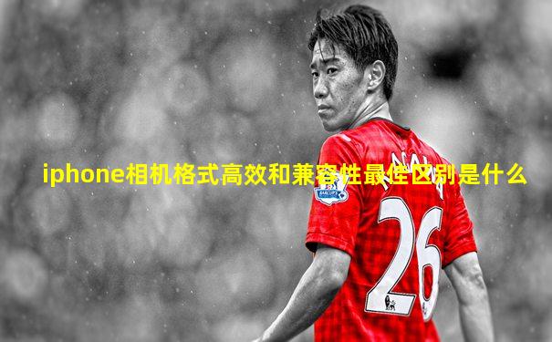 iphone相机格式高效和兼容性最佳区别是什么