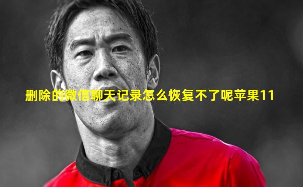 删除的微信聊天记录怎么恢复不了呢苹果11