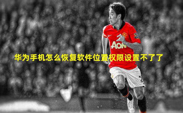 华为手机怎么恢复软件位置权限设置不了了