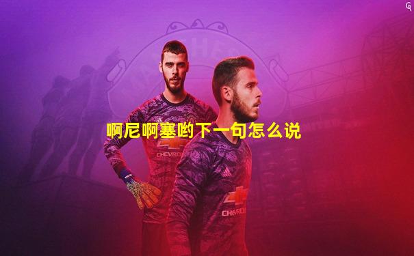 啊尼啊塞哟下一句怎么说