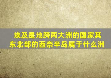 埃及是地跨两大洲的国家其东北部的西奈半岛属于什么洲