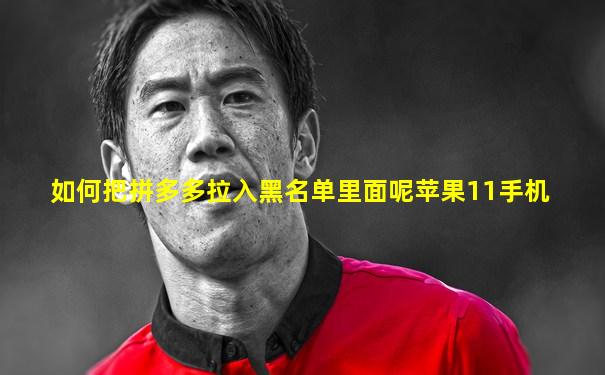 如何把拼多多拉入黑名单里面呢苹果11手机