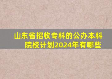 山东省招收专科的公办本科院校计划2024年有哪些