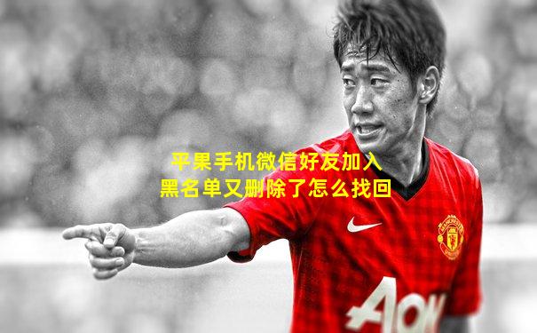 平果手机微信好友加入黑名单又删除了怎么找回