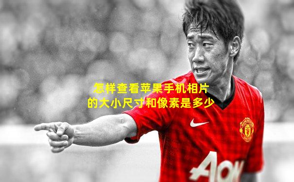 怎样查看苹果手机相片的大小尺寸和像素是多少
