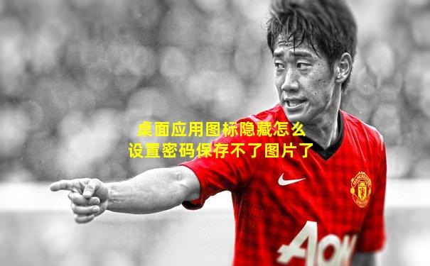 桌面应用图标隐藏怎么设置密码保存不了图片了