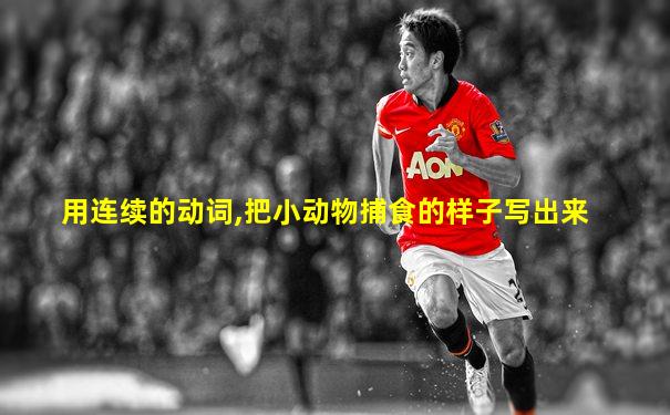 用连续的动词,把小动物捕食的样子写出来
