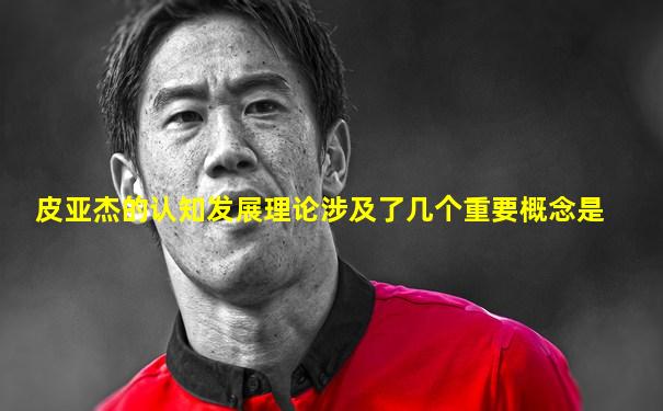 皮亚杰的认知发展理论涉及了几个重要概念是