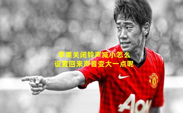 苹果关闭铃声减小怎么设置回来声音变大一点呢