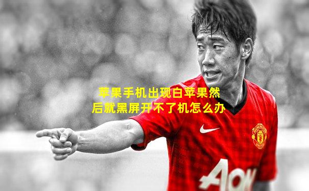 苹果手机出现白苹果然后就黑屏开不了机怎么办