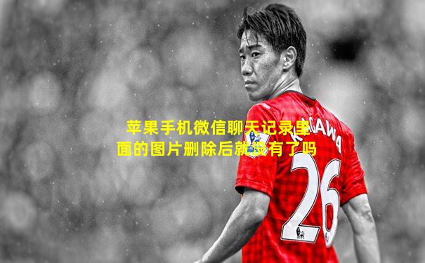 苹果手机微信聊天记录里面的图片删除后就没有了吗