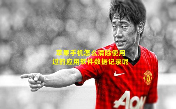 苹果手机怎么清除使用过的应用软件数据记录呢