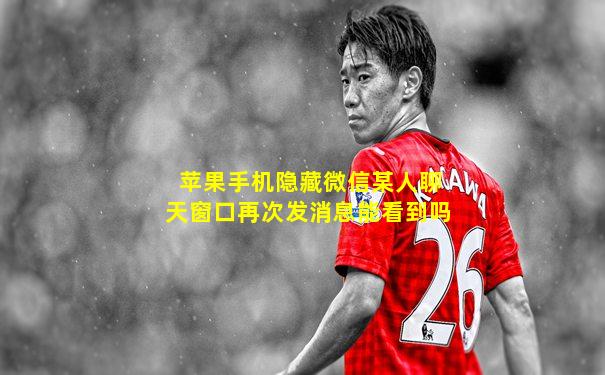 苹果手机隐藏微信某人聊天窗口再次发消息能看到吗