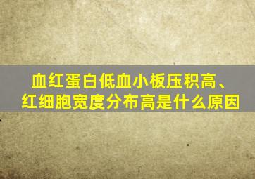血红蛋白低血小板压积高、红细胞宽度分布高是什么原因