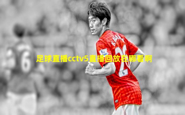 足球直播cctv5直播回放在哪看啊