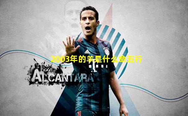 2003年的羊是什么命五行