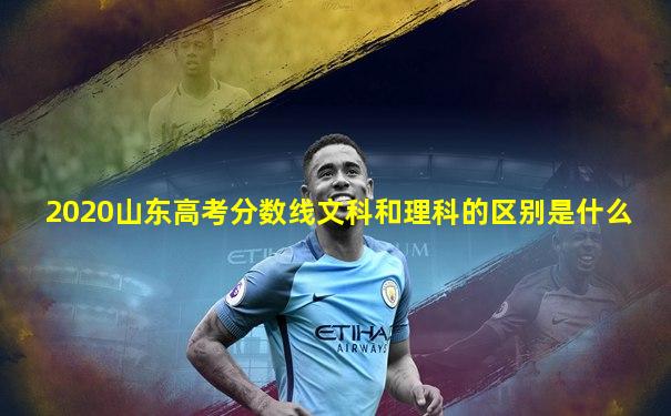 2020山东高考分数线文科和理科的区别是什么
