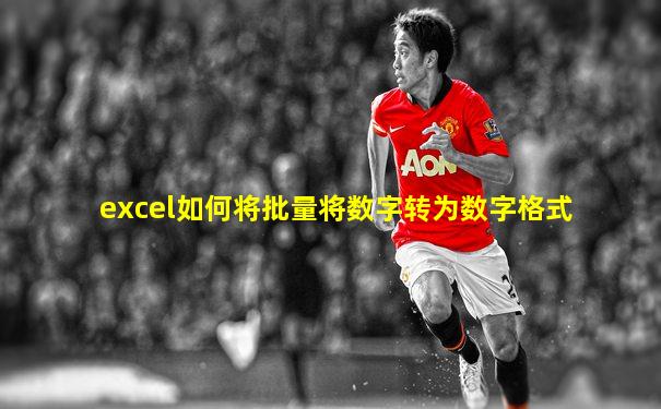 excel如何将批量将数字转为数字格式