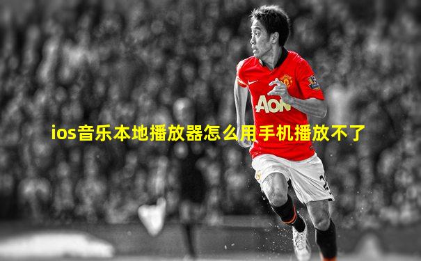 ios音乐本地播放器怎么用手机播放不了