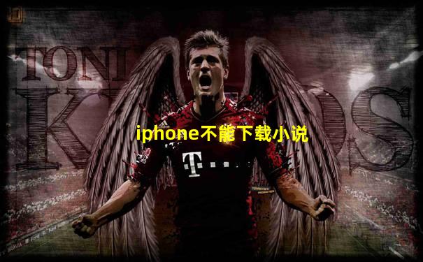 iphone不能下载小说