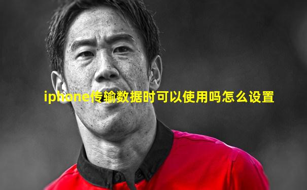 iphone传输数据时可以使用吗怎么设置