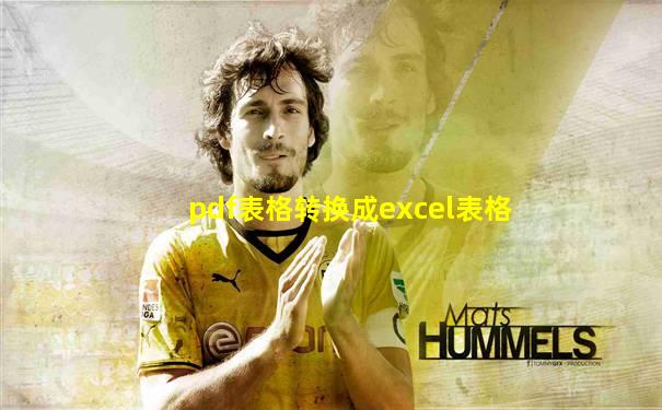pdf表格转换成excel表格