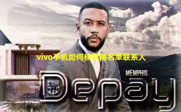 vivo手机如何移除黑名单联系人