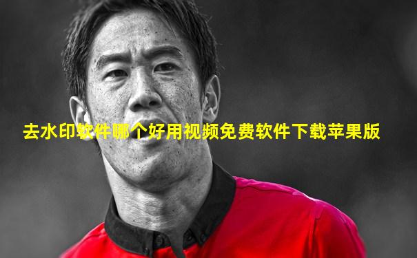 去水印软件哪个好用视频免费软件下载苹果版