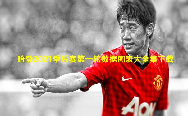 哈登2021季后赛第一轮数据图表大全集下载