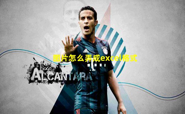 图片怎么弄成excel格式
