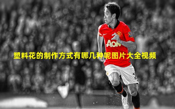 塑料花的制作方式有哪几种呢图片大全视频