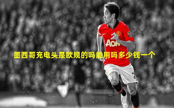 墨西哥充电头是欧规的吗能用吗多少钱一个