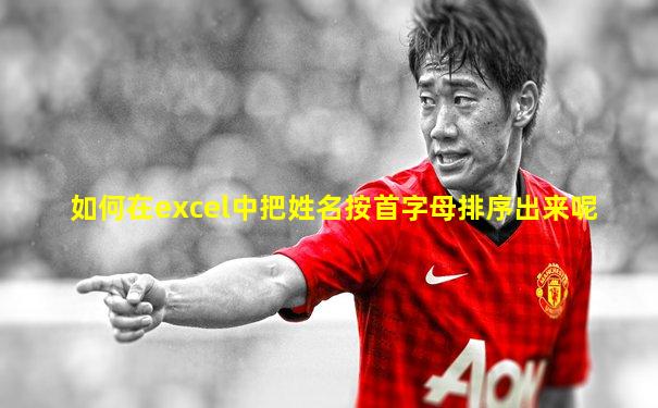 如何在excel中把姓名按首字母排序出来呢