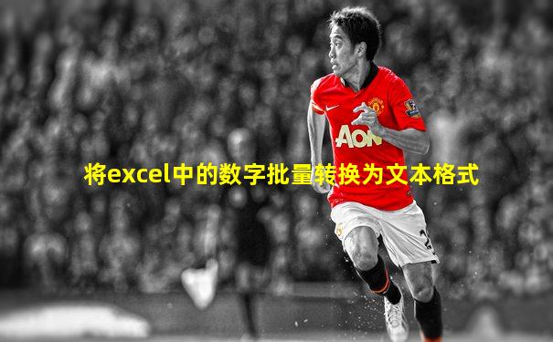 将excel中的数字批量转换为文本格式