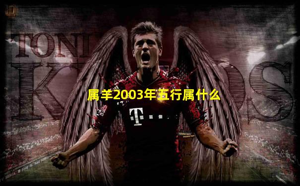 属羊2003年五行属什么