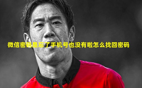 微信密码是忘了手机号也没有啦怎么找回密码