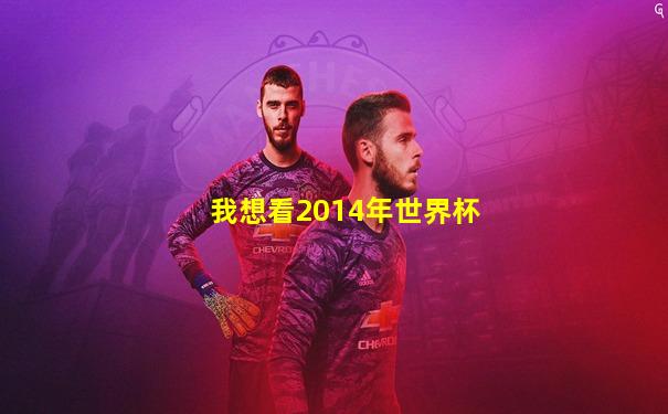 我想看2014年世界杯