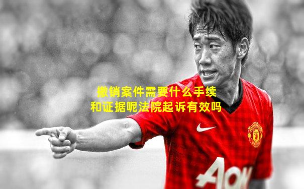 撤销案件需要什么手续和证据呢法院起诉有效吗