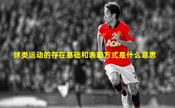 球类运动的存在基础和表现方式是什么意思