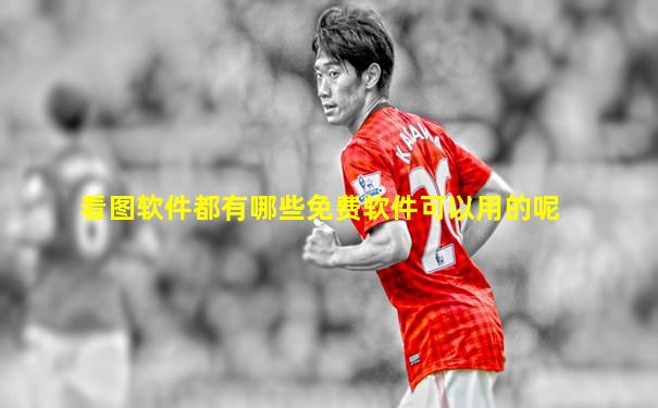 看图软件都有哪些免费软件可以用的呢