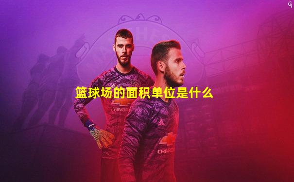 篮球场的面积单位是什么