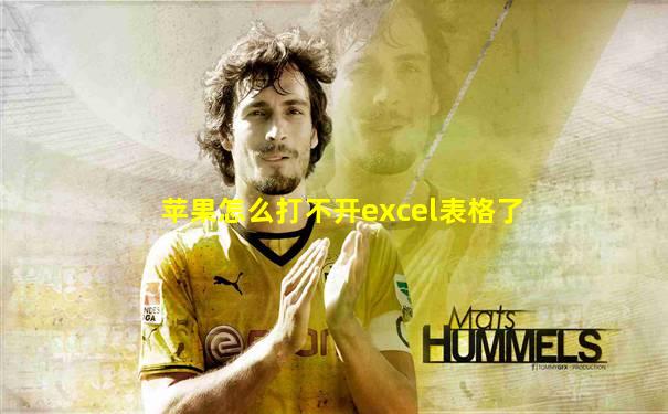 苹果怎么打不开excel表格了