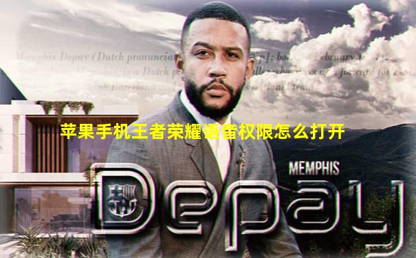 苹果手机王者荣耀语音权限怎么打开